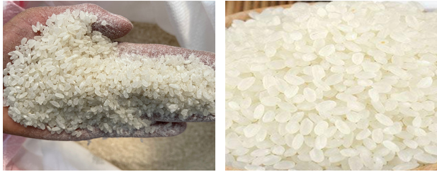 MLNZ-15T大米碾米加工成套設(shè)備 FINISHED PRODUCTS