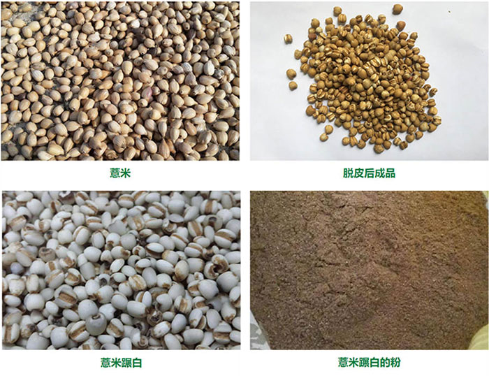 薏米加工成套設(shè)備 FINISHED PRODUCTS