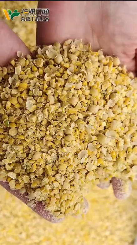 華豫萬(wàn)通豆類微粉加工線試機(jī)現(xiàn)場(chǎng)