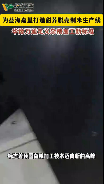 華豫萬通為益海嘉里打造甜蕎脫殼制米生產(chǎn)線