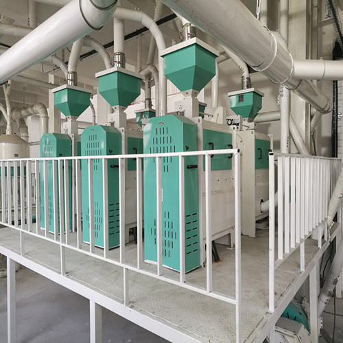 大型豌豆清理脫皮成套設備